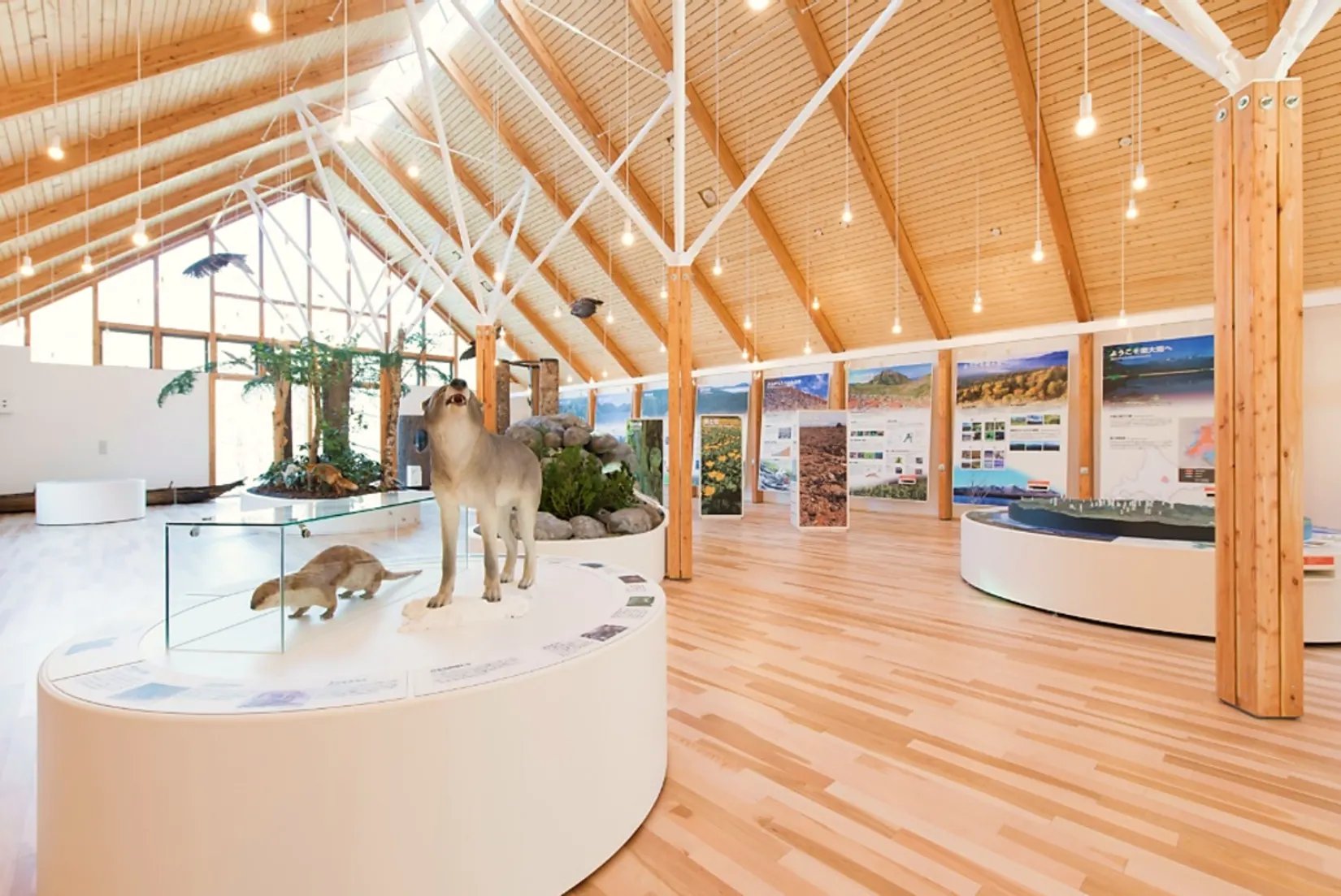 🏞️ 히가시 대설 자연관(히가시타이세츠시젠칸) 이미지 8